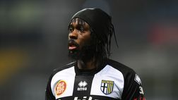 Mercato, Gasperini blocca Lammers e genera lo stallo. Torna di moda Gervinho?