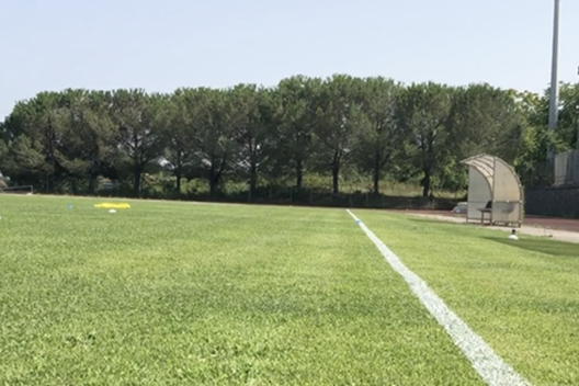 Catania, piano Pelligra per il futuro. Nodo allenamenti e ritiro estivo- immagine 2