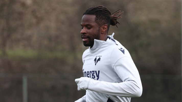 Verona verso il Monza, l’allenamento dei gialloblù - immagine 1