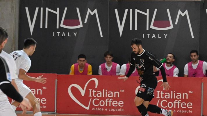 Vinumitaly Petrarca, vittoria sulla Fenice e pass per i quarti di Coppa - immagine 1