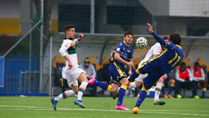 Hellas Verona FC  Hellas Verona FC