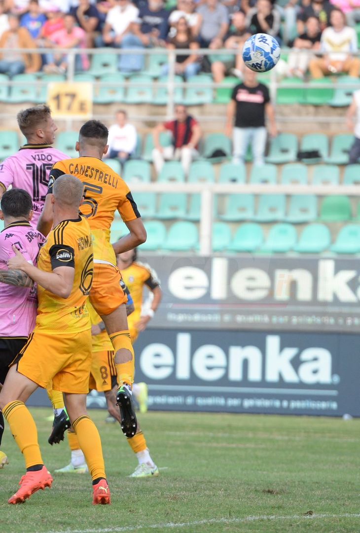 FOTO Palermo-Pisa 3-3 – 9a giornata Serie B 2022-23 (Gallery) - immagine 13