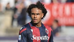 Bombardini: “Zirkzee giocatore da certe cifre. Per me è il sostituto di…”