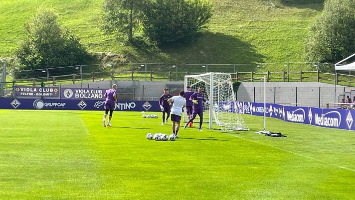 Di Palma: “Vedo Gollini titolare, ha tecnica e una capacità importante” Di Palma: “Vedo Gollini titolare, ha tecnica e una capacità importante” - immagine 1