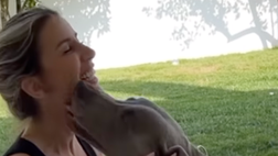 VIDEO / Patricia si diverte col cane, lady Luis Alberto: “Non si può essere più…”
