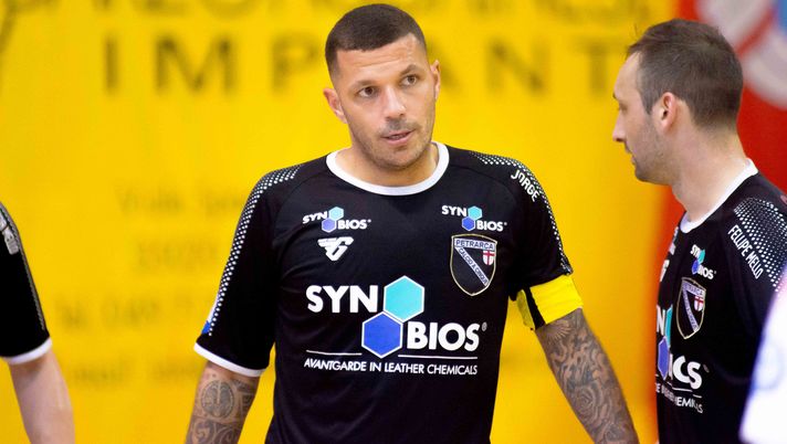 Syn-Bios Petrarca, tempo di playoff: sabato l&#8217;esordio a Bassano 