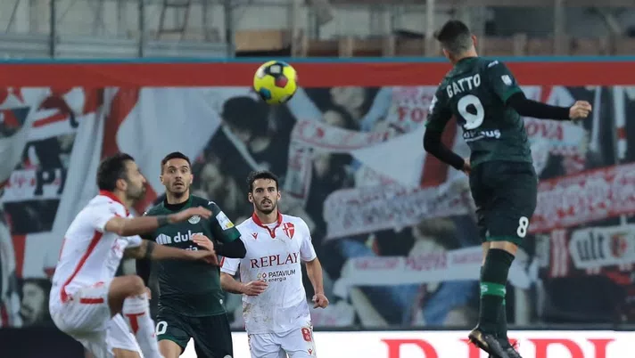 Padova e Südtirol, due ruoli chiave da coprire per la svolta - immagine 1