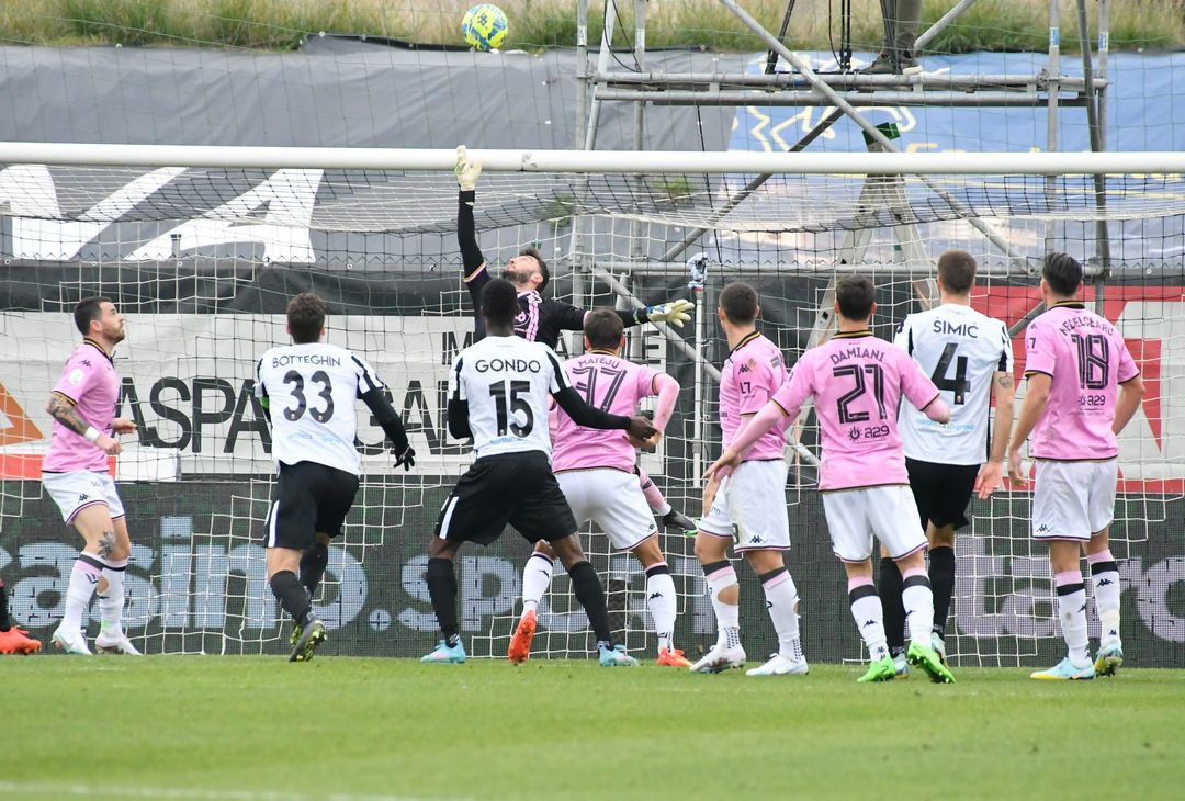 FOTO Ascoli-Palermo 1-2, 22ª giornata Serie B 2022-2023 (Gallery) - immagine 79