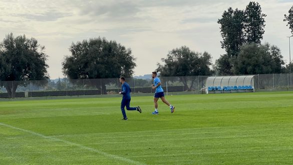 Immobile Immobile