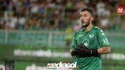 Palermo-Como 0-0: rosa belli per un tempo, palo di Segre. Pigliacelli evita la beffa