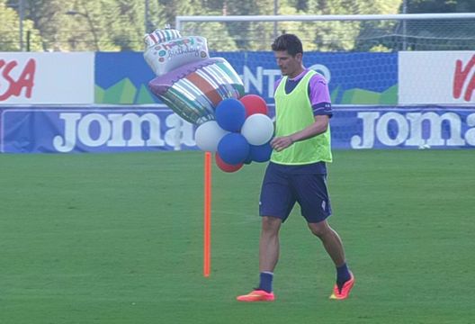 Mario Gomez Fiorentina