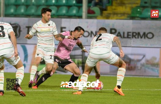 Pisa-Venezia, probabili formazioni: D’Angelo con Gliozzi, Vanoli punta su Pohjanpalo- immagine 3