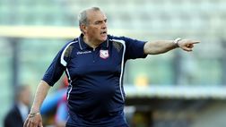 Napoli-Perugia 4-1, Castori: “Fatta gran partita, siamo stati vivi. Loro da scudetto”