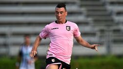 LE PAGELLE: PALERMO-CARPI 4-1. I Rosa vincono e convincono contro l’ultima in classifica