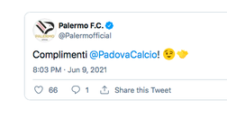 Playoff Serie C, Padova in finale: arrivano i complimenti social del Palermo