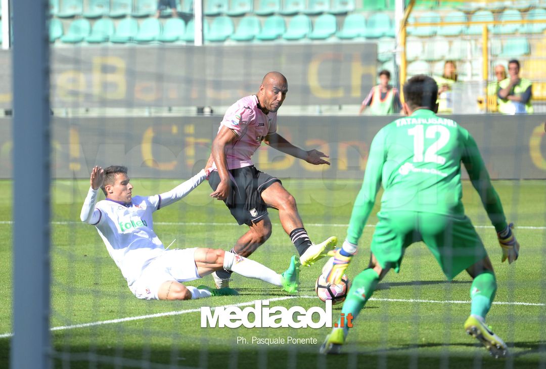  ipp/pasqualeponente
palermo 30/04/2017
campionato di calcio serie a 2016/17
palermo - fiorentina
gol di haitam aleesami
italy photo press - world copyright 