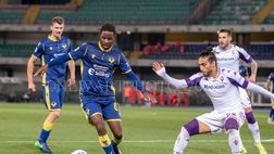 Verona verso lo Spezia, Tameze recupera