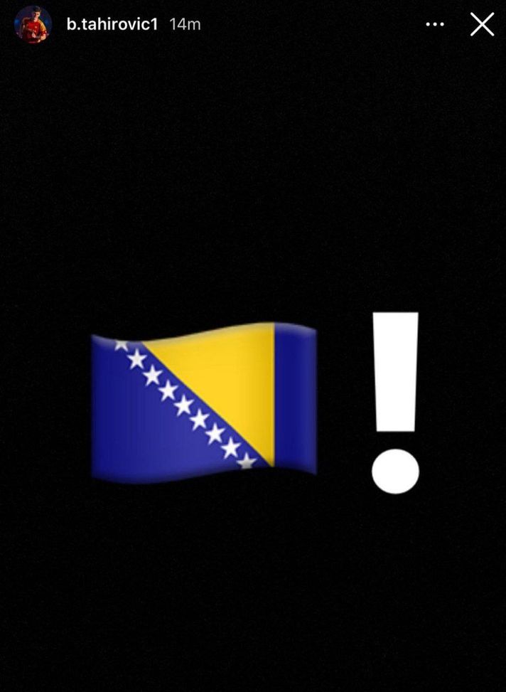 Tahirovic sceglie la Bosnia. Misimovic: “Benvenuto nella nostra famiglia”- immagine 2