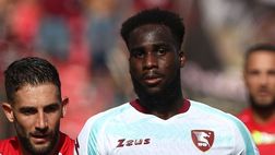 Dia, Jovane, Tchaouna, Bohinen, Kastanos: chi gioca e chi no nella Salernitana