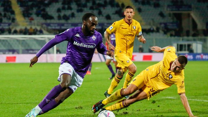 GERMOGLI PH: 9 NOVEMBRE 2022 FIRENZE STADIO ARTEMIO FRANCHI SERIE A FIORENTINA VS SALERNITANA NELLA FOTO IKONE' Iko Iko a né - immagine 1