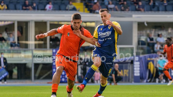 Verona verso il Milan, l’allenamento - immagine 1