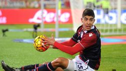 Fantacalcio Bologna, che succede a Masina?