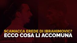 Milan, Scamacca erede di Ibra? Ecco cosa hanno in comune | VIDEO