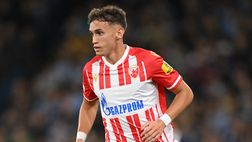 Esterno d’attacco, al Verona Mitrovic dalla Stella Rossa