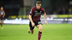 Probabile formazione Salernitana: l’ex viola Piatek guida l’attacco granata