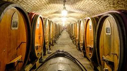 Catania, la cantina pregiata di Pelligra