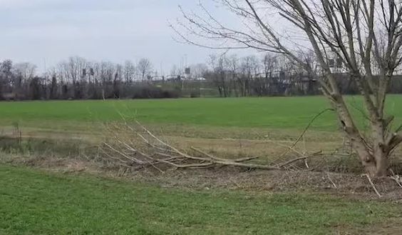 Assago: “Territorio per stadio Inter non è nostro. Ripercussioni su viabilità…”- immagine 2