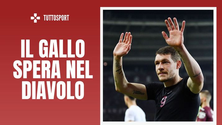 Andrea Belotti Torino Calciomercato AC Milan