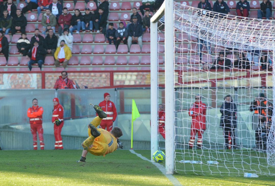 FOTO Perugia-Palermo 3-3, 20ª giornata Serie B 2022-2023 (Gallery) - immagine 21