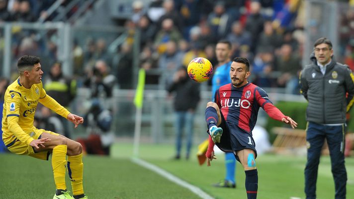 BOLOGNA, ITALY - JANUARY 19:Nicola Sansone of Bologna FC in action  during the Serie A match between Bologna FC and  Hellas Verona at Stadio Renato Dall'Ara on January 19, 2020 in Bologna, Italy. (Photo by Mario Carlini / Iguana Press/Getty Images) 