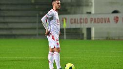 Padova-Catania, le pagelle. Radrezza illumina, Perrotta e Palombi sugli scudi