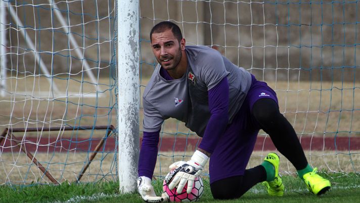 Sepe, quando il turnover è decisivo: la lettera contro la società viola - immagine 1