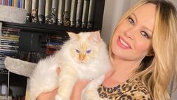Anna Falchi celebra la giornata mondiale del gatto: “Aki ci riempie la vita di fusa”
