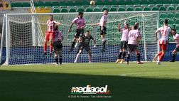 Palermo, porta imbattuta col Teramo: con Filippi 5 partite su 11 senza subire gol