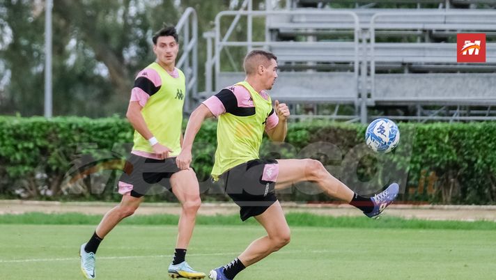 Palermo, contro il Cosenza c’è il muro: Mateju, Marconi e Nedelcearu a disposizione - immagine 1