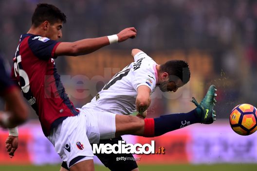 BOLOGNA, ITALY - NOVEMBER 20: Adam Masina (L) of Bologna and Ilija Nestorovski of Palermo compete for the ball during the Serie A match between Bologna FC and US Citta di Palermo at Stadio Renato Dall'Ara on November 20, 2016 in Bologna, Italy. (Photo by Tullio M. Puglia/Getty Images) BOLOGNA, ITALY - NOVEMBER 20: Adam Masina (L) of Bologna and Ilija Nestorovski of Palermo compete for the ball during the Serie A match between Bologna FC and US Citta di Palermo at Stadio Renato Dall'Ara on November 20, 2016 in Bologna, Italy. (Photo by Tullio M. Puglia/Getty Images)