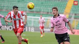 Palermo-Teramo, le pagelle dei quotidiani: Lucca salva il risultato, Valente si conferma. Male Broh e Luperini