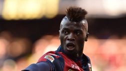 Sky: “Genoa, si tratta per Niang ma il club deve decidere. Shomurodov e un nome nuovo…”