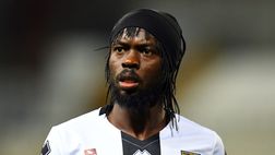 Parma, allenamento in vista del Toro: D’Aversa ritrova Gervinho