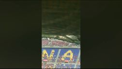 VIDEO / Avvistato topo al Camp Nou e i tifosi increduli