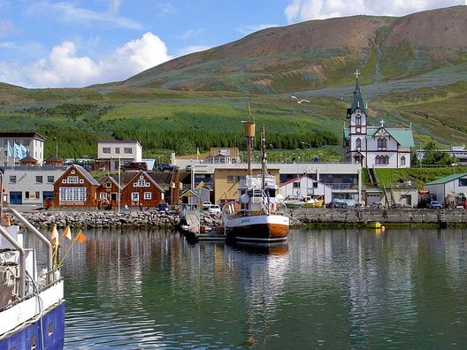 La città islandese di Husavik Le olive meridionali italiane arrivano nel profondo nord Islanda: grazie Hallfredsson!- immagine 2