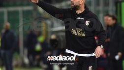 Reggina, ufficiale l’esonero di Toscano: il successore sarà l’ex Palermo Stellone