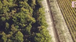 video / “Gino Bartali – Il postino della pace”: guarda il trailer del film