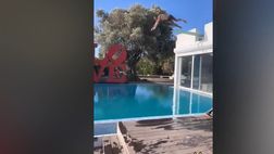 VIDEO / Di Maria, vacanze ‘spericolate’: si tuffa in piscina… dal tetto