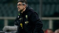 Torino, la giornata: Juric in conferenza stampa pre Udinese