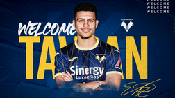 Ufficiale, Tavsan al Verona